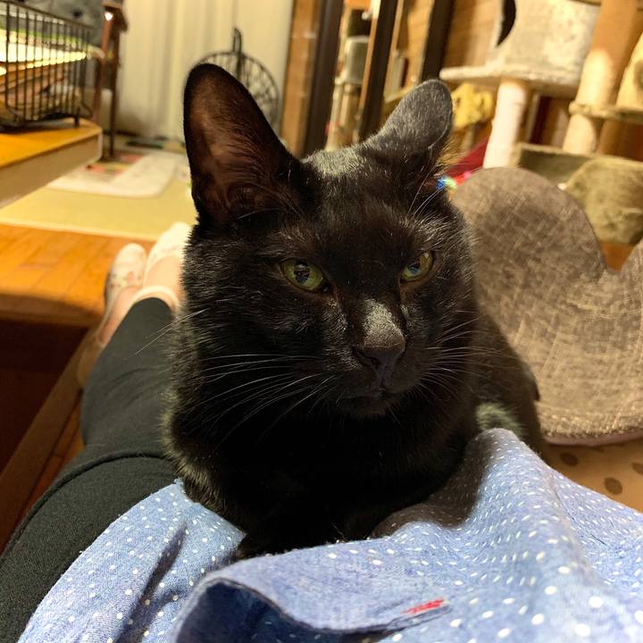 69873b69 2012 48e5 b2f0 03b80f3b199f 1571482280036