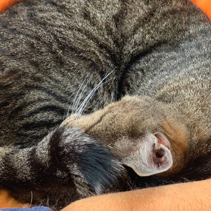 69874ef6 6ea2 4fc9 b496 bf0829682f5f 1562805788671