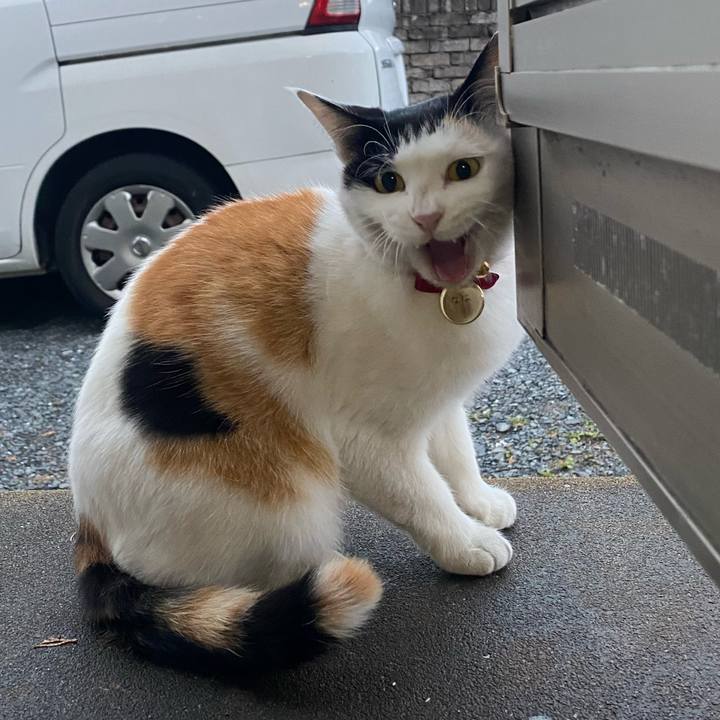 69877386 d400 4542 ae62 4aa8147f2a56 1637618918301