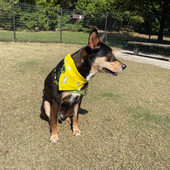 69877a44 9908 4193 94de 946254cf07b0 1603182775566