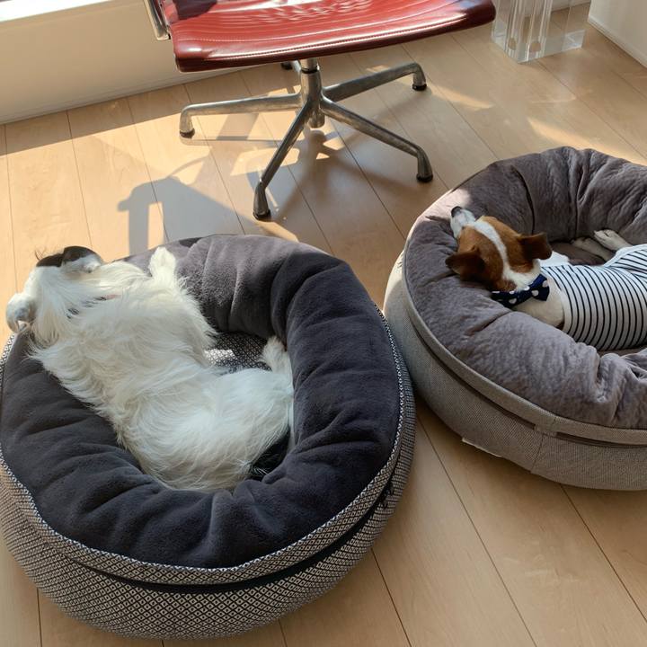 6987a5dd 5fd1 4984 a1b0 0638fc340be5 1598329074967