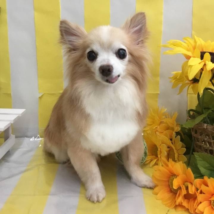 6987a6dc ab16 4895 8b02 22ccffda9046 1534831479084