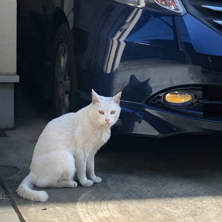 6987ae10 06a2 4ebd 9d6b d2583a066a44 1583134852478