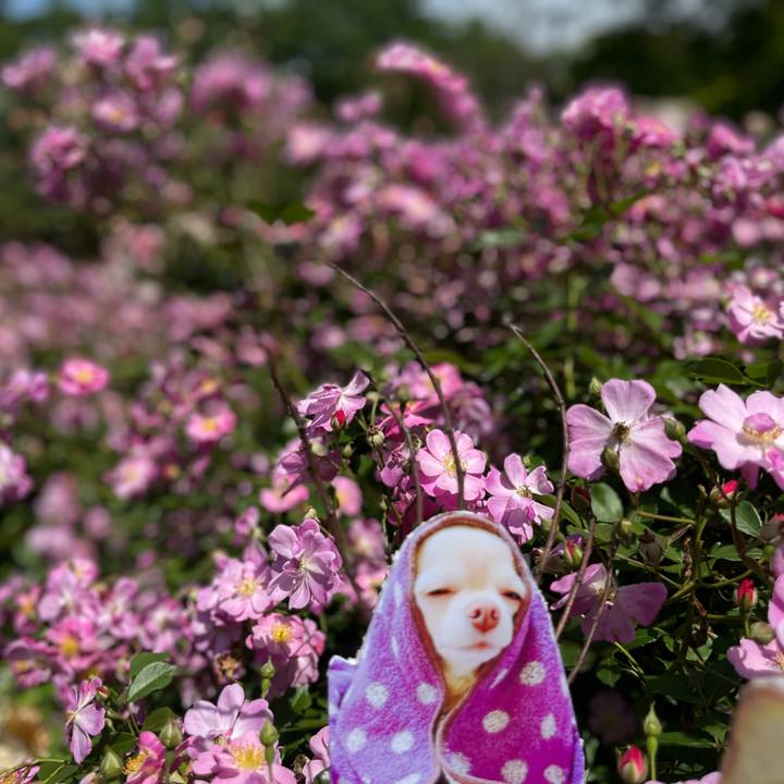 6987c037 fd4f 419e bafa 1306d0ba6747 1653545058003