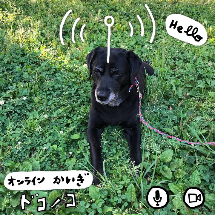 6987d566 0d74 4077 9431 c61d47261936 1592061025879