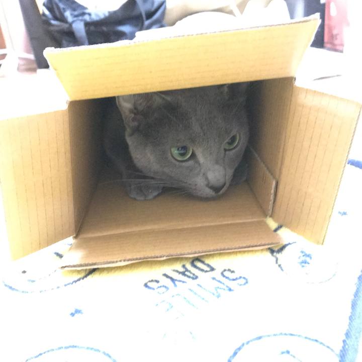 6987f61f a9d1 4d67 b0af 9041dfc4715f 1518964510585