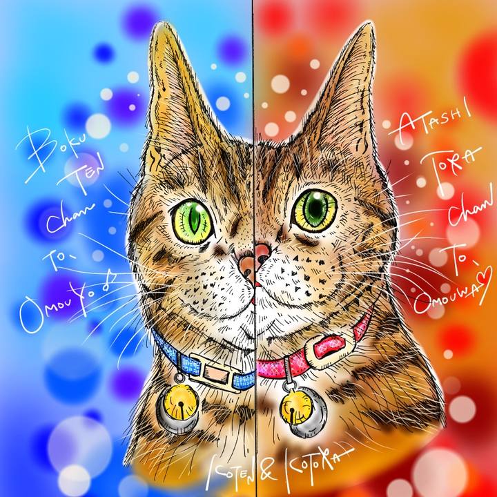 698801c4 bc01 43d9 b20a d6a57550a05e 1616021999287