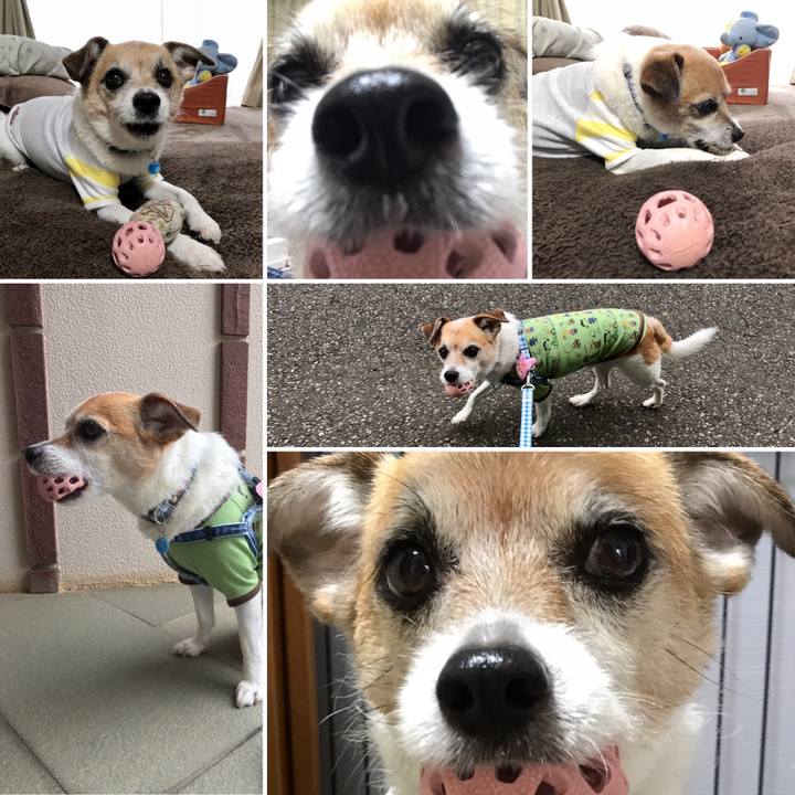 6988091c 75a7 4d05 933b f78014bfb14e 1622190042009