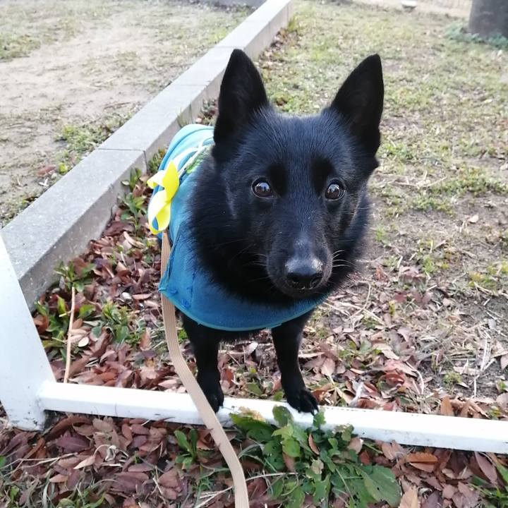 698824fd eab6 4a59 8633 6f66af19e3f0 1643148664282