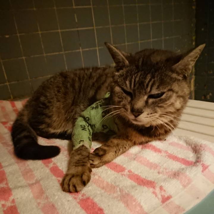 69885d01 a361 4f9f aa6b 4904dd67356e 1587379896643