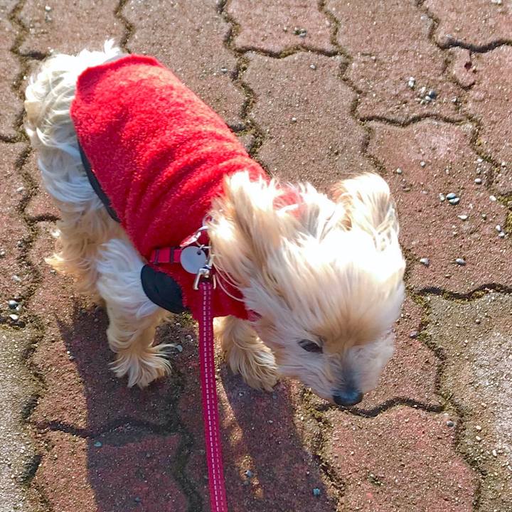 69887fca ad44 4d99 ac54 d28ce3b7d0fe 1518317597558
