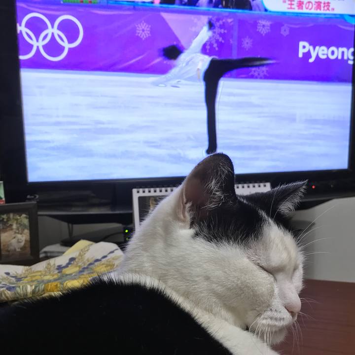 69890f52 7cd8 4058 a58a 2fe6af99ca38 1518862836128