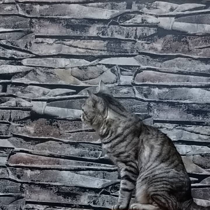 698922d4 8243 47a4 a657 3f8b5b3b0b82 1617459402105