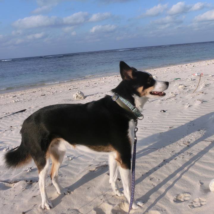 69894c33 a57f 43ee aba4 ada9500ec294 1675259500704