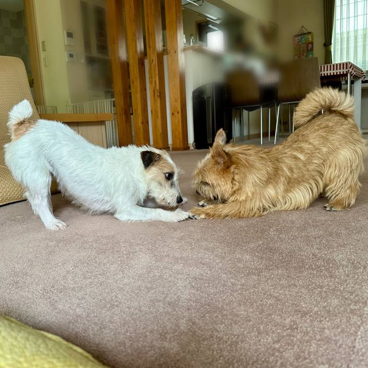 69896d64 26bf 440a 8e45 c2d1ab6213d3 1759583365039