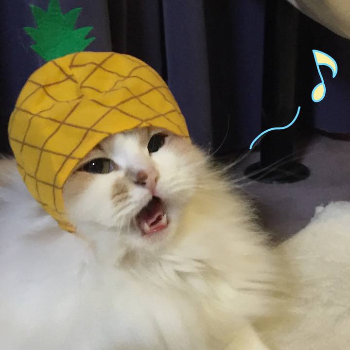 6989a25a e88c 46c6 812e 5f9e39c34432 1527947875967