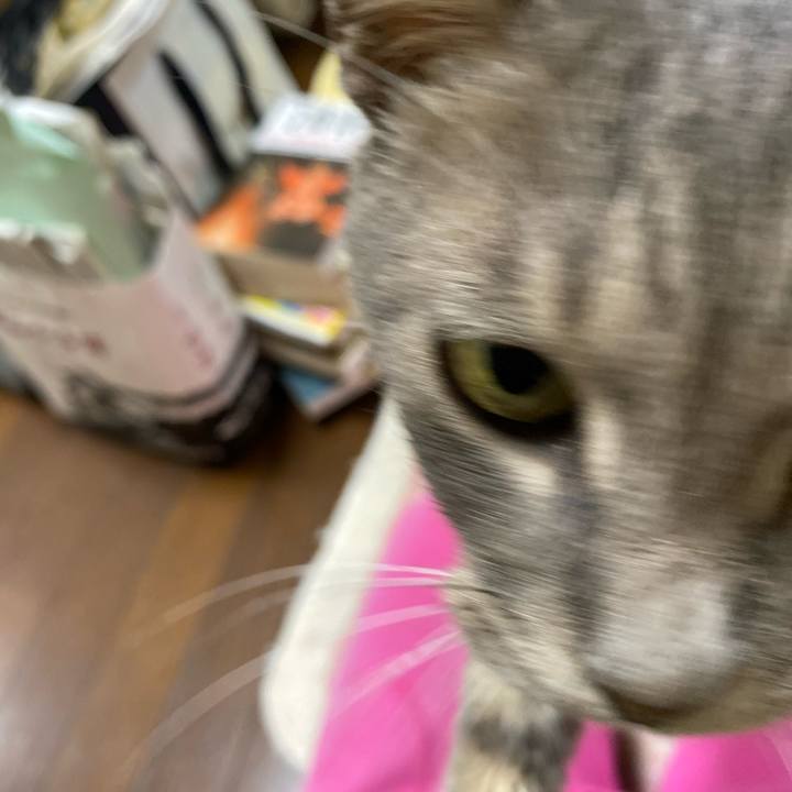 6989dbd5 062b 4571 a34c 268ef17e5f81 1572006634092