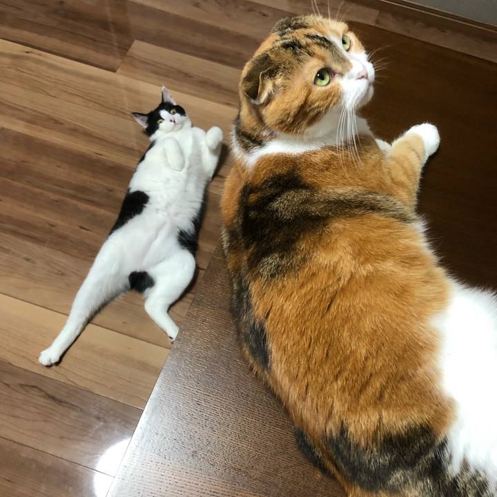 6989ff2b 9ff7 45f3 8be3 fb90b40aa599 1630991708872