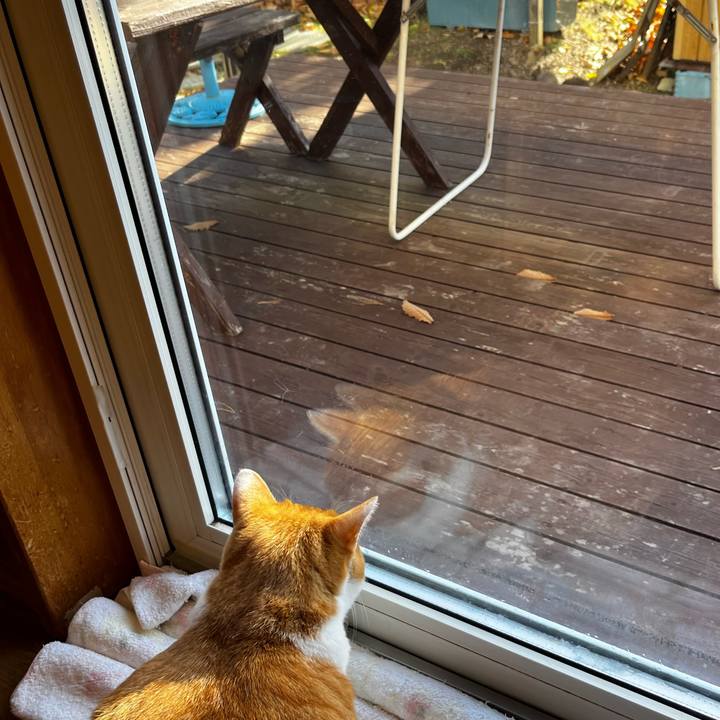 698a2102 0d31 4013 bb15 80a7c4242802 1730765001943