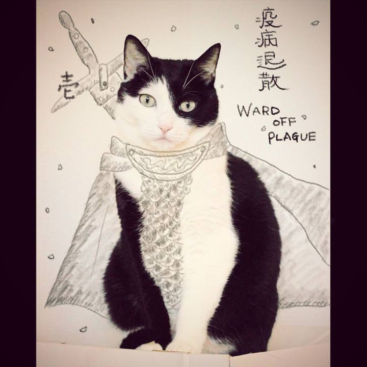 698a260b 3b96 4895 a8b7 20c032b670e7 1589067642210