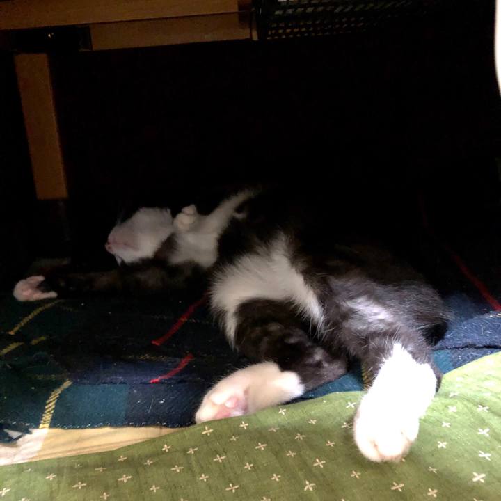 698a2da1 c144 400d b91f 5d276e07ed50 1552745253717