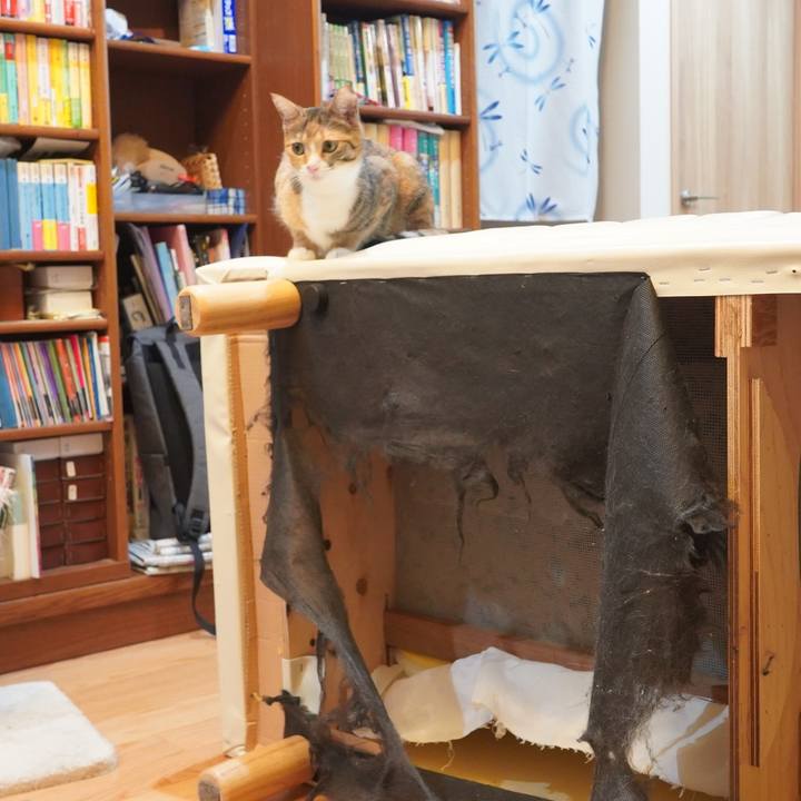 698a3bcb 19b6 411c 8f26 102c481a60d4 1602940076911