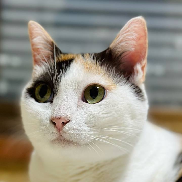 698a6525 7eaf 4740 8b0f e36155f19de3 1725065032638