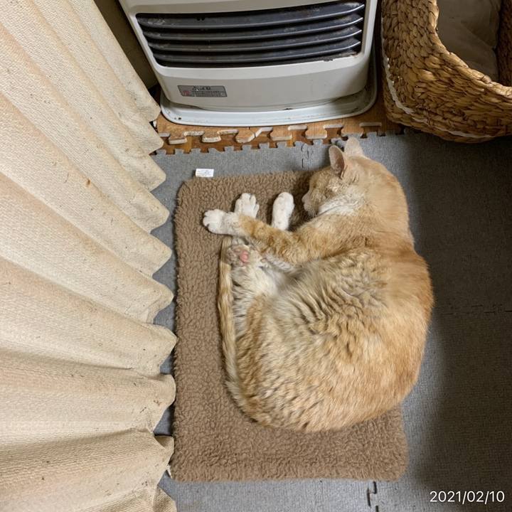 698a6956 6229 4474 aa60 04ea0da8a03c 1612965393694