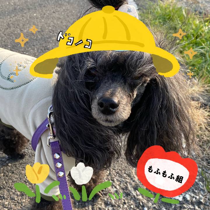 698a7547 19c2 4523 828c a811374df9db 1712224522744