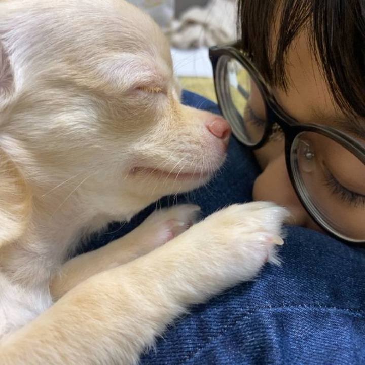 698a9b0c d884 4846 98a3 d84b8416e132 1721133288648