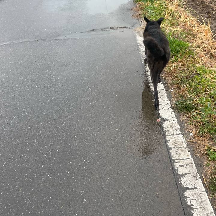 698ab479 82f8 470d 9156 5cb19769734a 1647931483669