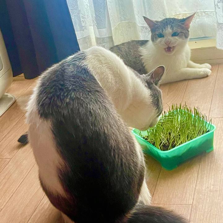 698aeb27 c803 4c7d b302 b5e93b0e3758 1628410599446