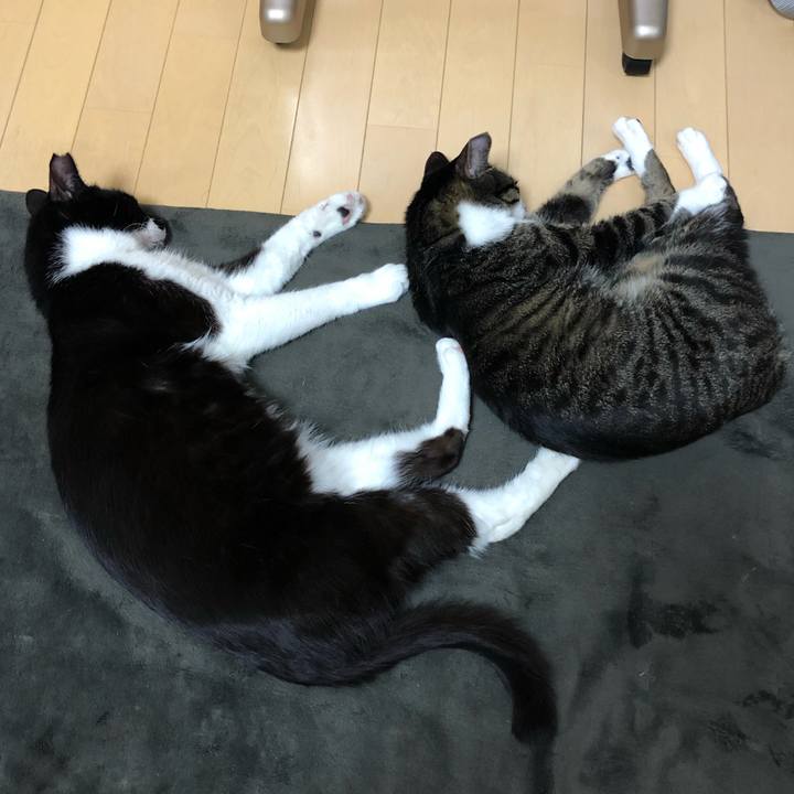 698aeeec acbe 42c4 89c8 60fc78d0a091 1558775940409