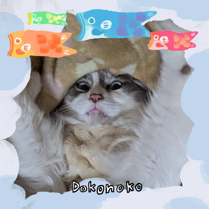 698af07a 54a7 49af b5ba 0246c870f454 1749240843307