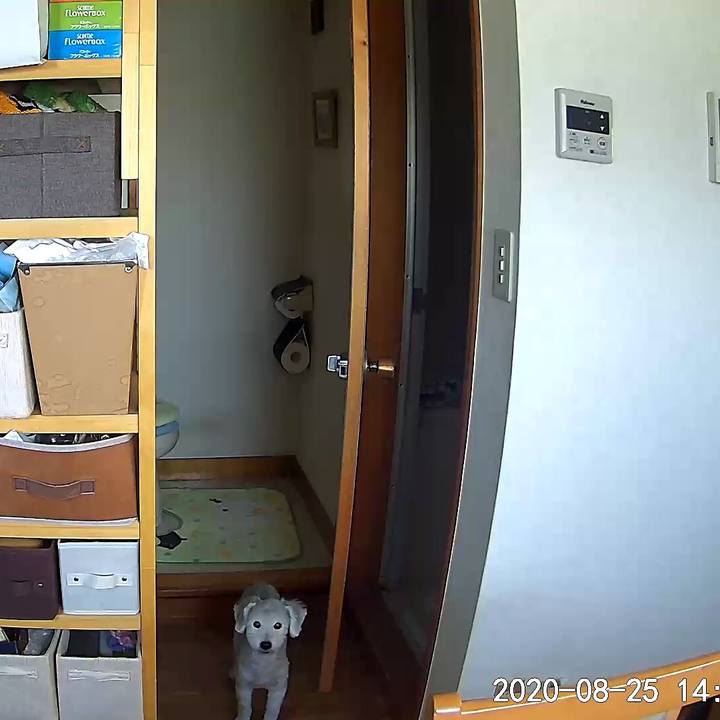 698afa97 3290 455c 9260 6d40e3d1811f 1598333719885