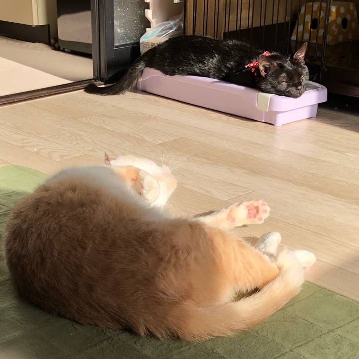 698b189b c156 4023 ba6a 8443c3442bfc 1618439960728