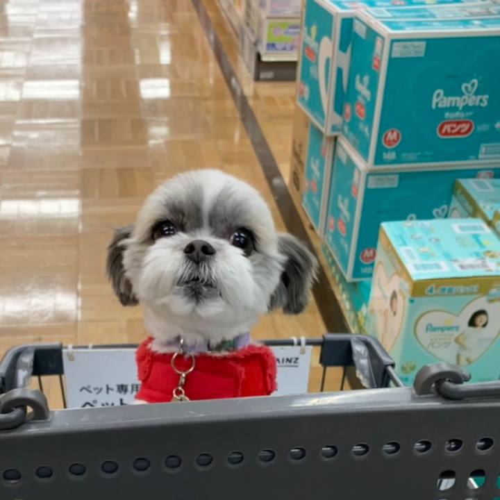 698b2ed2 bf6b 49f1 905e 9c146293d1ad 1577018665558