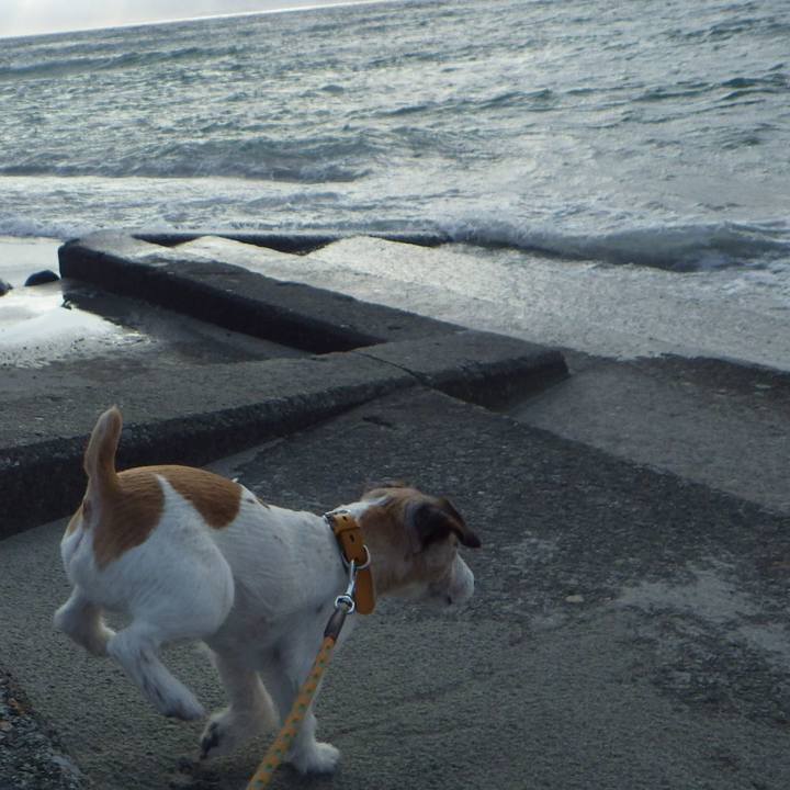 698b3bd0 8b96 48e5 99f9 ebd9a9ec8da8 1553691418167