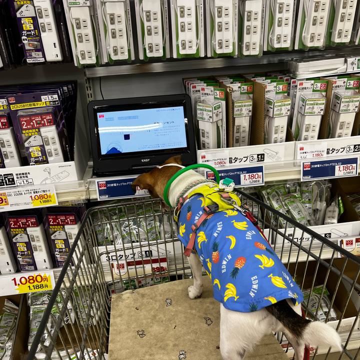 698b57d3 ab92 4e9b b0d0 f71b7680f403 1759145038558