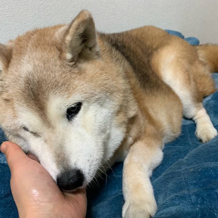 698b5e72 b609 41ab b3d5 e41d338b6015 1678712778548