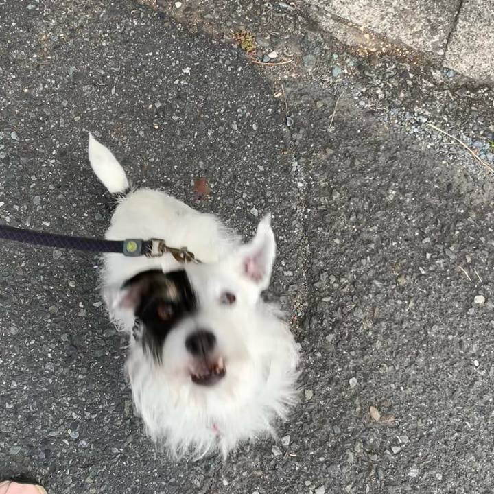 698b72b0 1cb7 495a 8b85 a40591c503f7 1698191665625