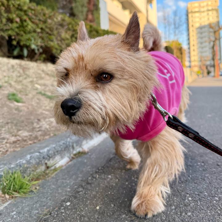 698b7be1 f03e 4461 bfed 7756e14e27d5 1767620304314