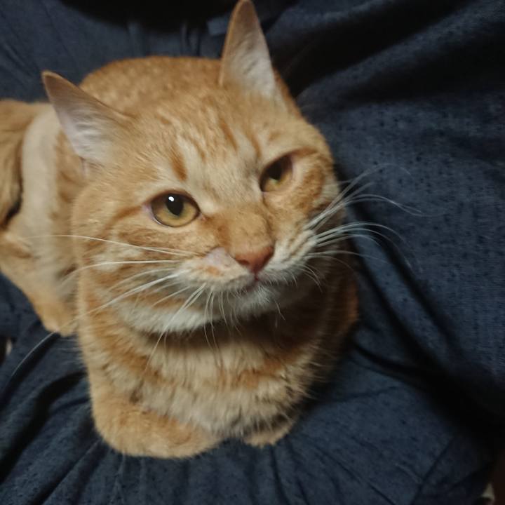 698b8918 a507 47fe b407 28d5ee90da86 1654507268443