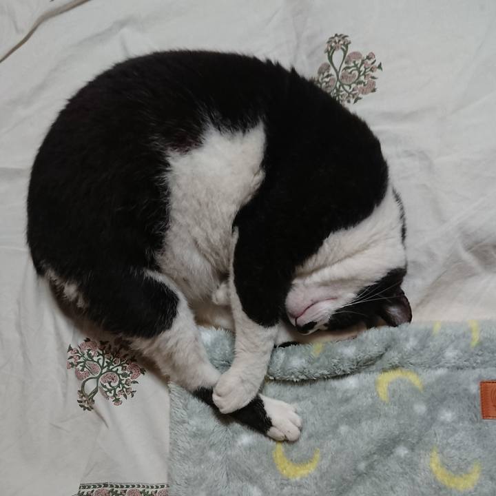 698b8d17 5d5e 45ba 9933 309a82e0fbab 1537439411105