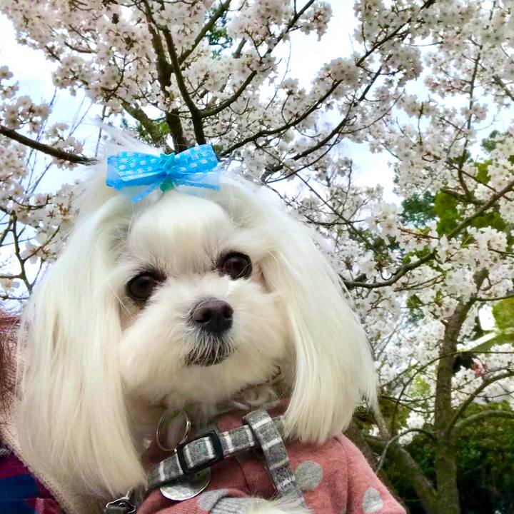 698b8d50 126f 4324 9fb0 46054f65cbb9 1773882703292