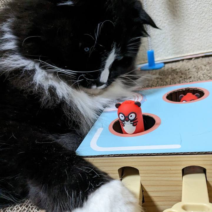 698bafe1 0bd1 41e5 ad2e a47fcc977e37 1682592867619