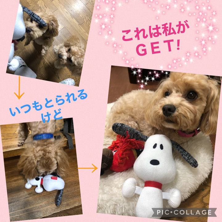 698bb8a8 2d95 4903 9895 8a7323cc7912 1618317077576