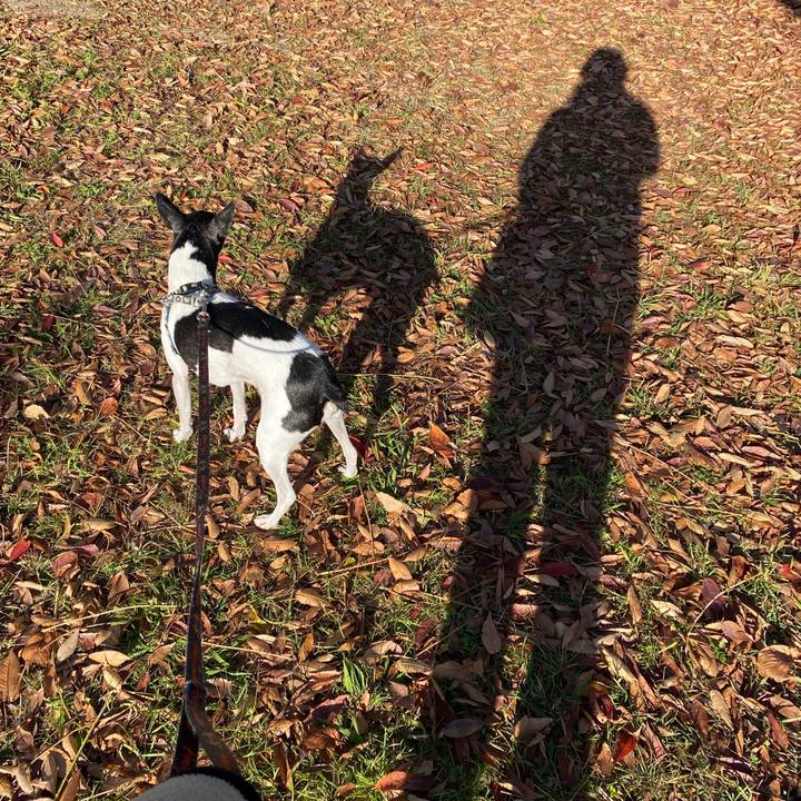 698bdfef b0fe 4b15 bd7a 5bdf80402ca4 1607213894507