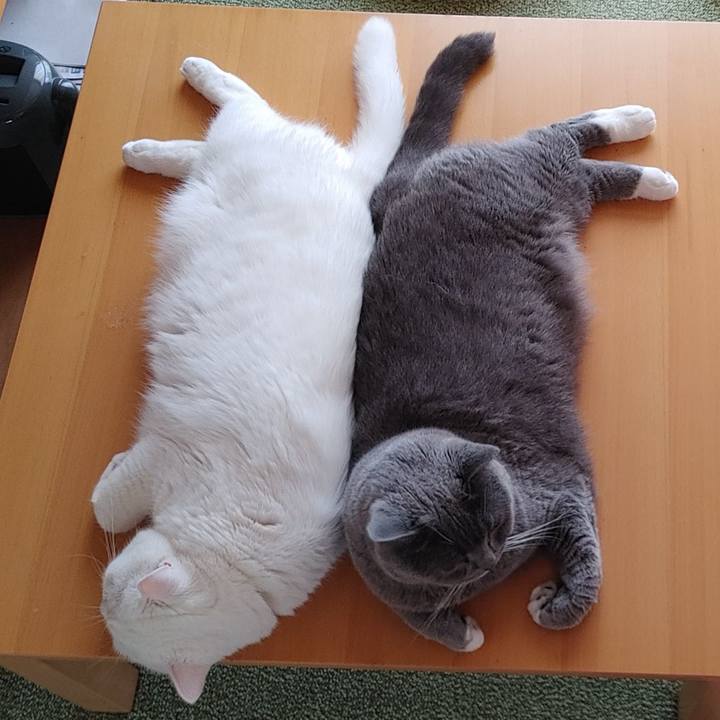 698be379 863d 4eef bac3 a6f28dae2124 1653807437877