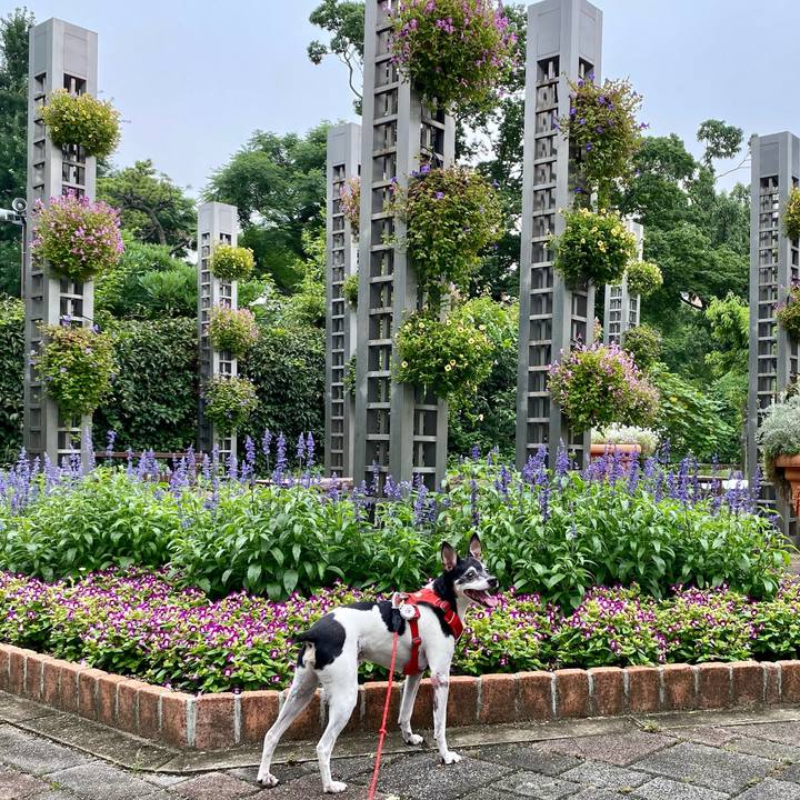 698bf79d d395 4173 b83e aa04e0361823 1625359795656